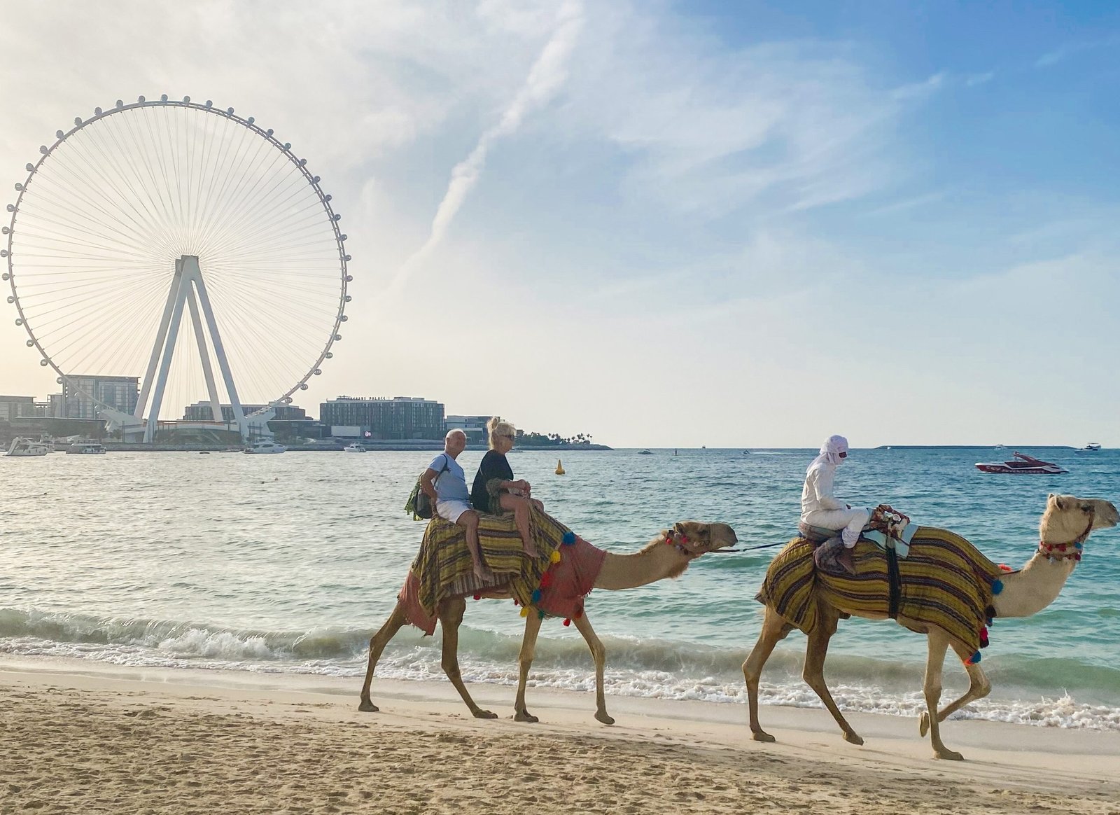 Dubai Marina cammelli