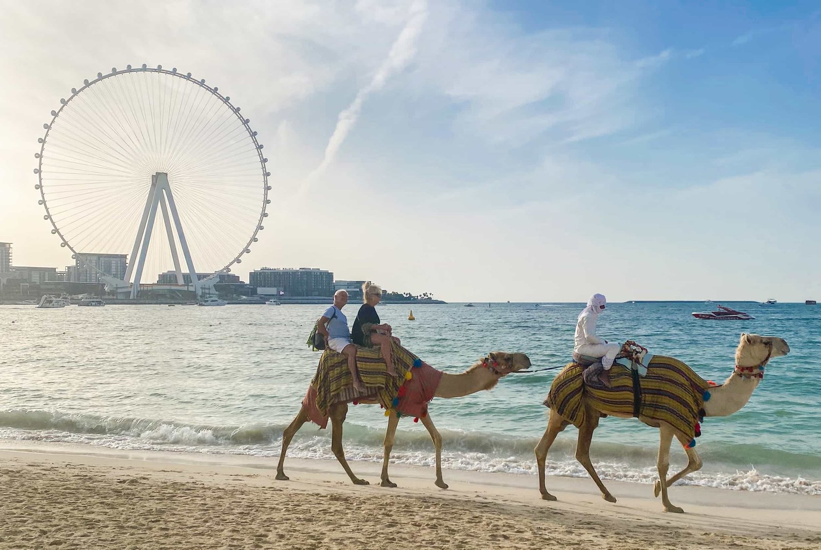 Cammelli a Dubai Marina