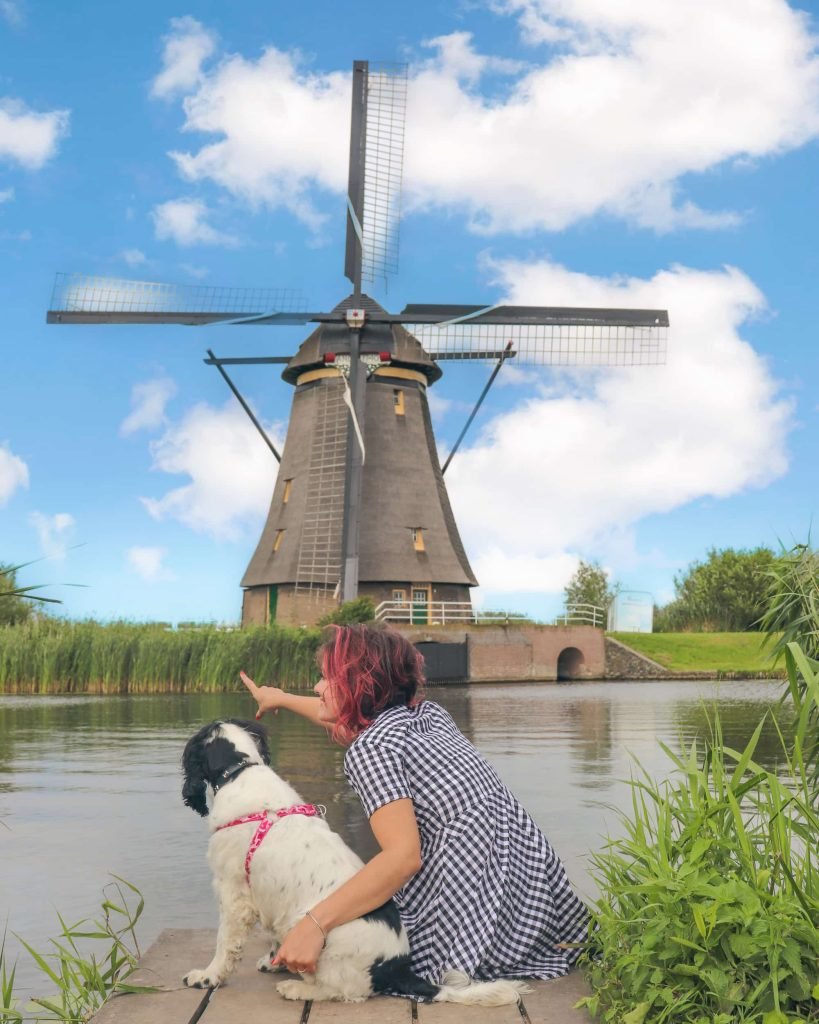 Miluni a vento Olanda Pet Friendly