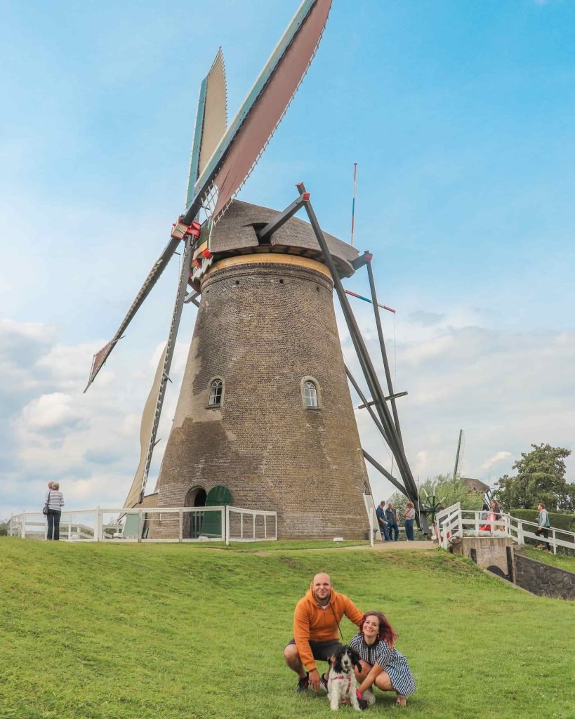 Mulini a vento in Olanda viaggio Pet Friendly