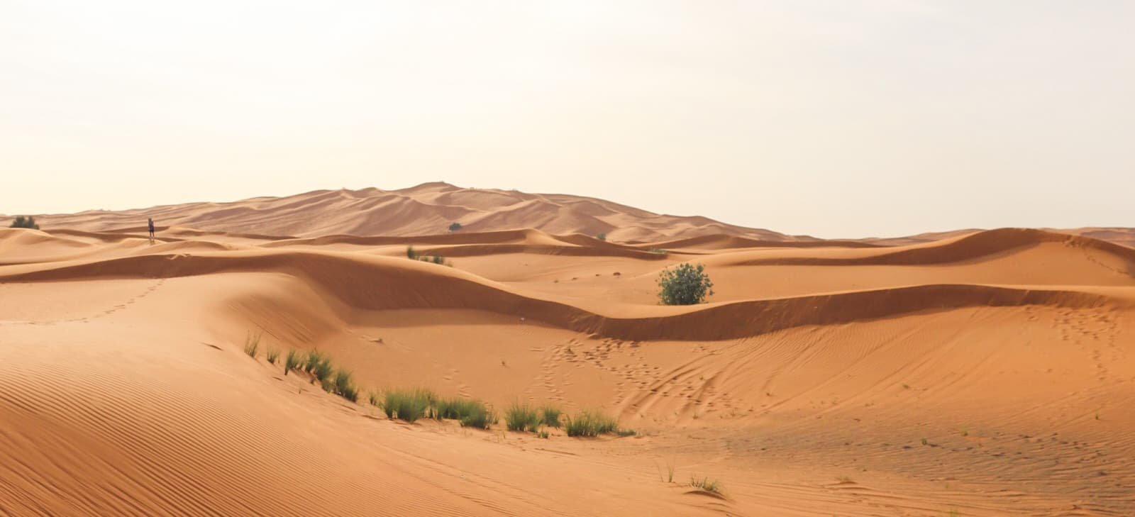 deserto di Dubai Lahbab