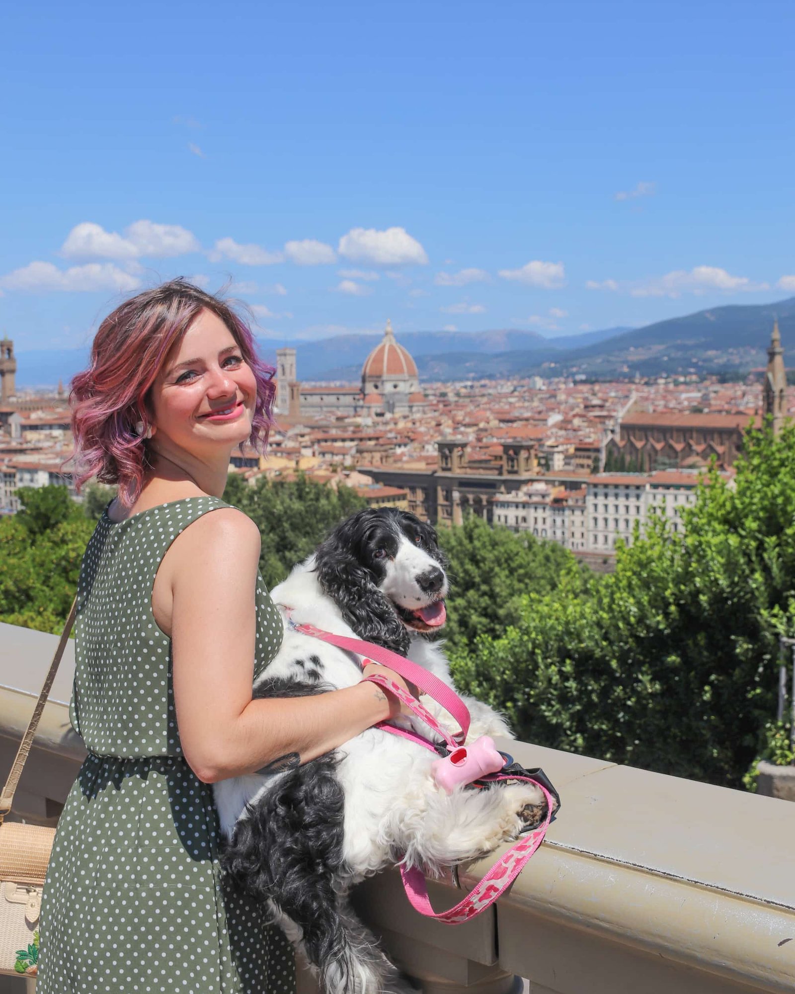 Vista da Piazzale Michelangelo, Firenze Pet Friendly