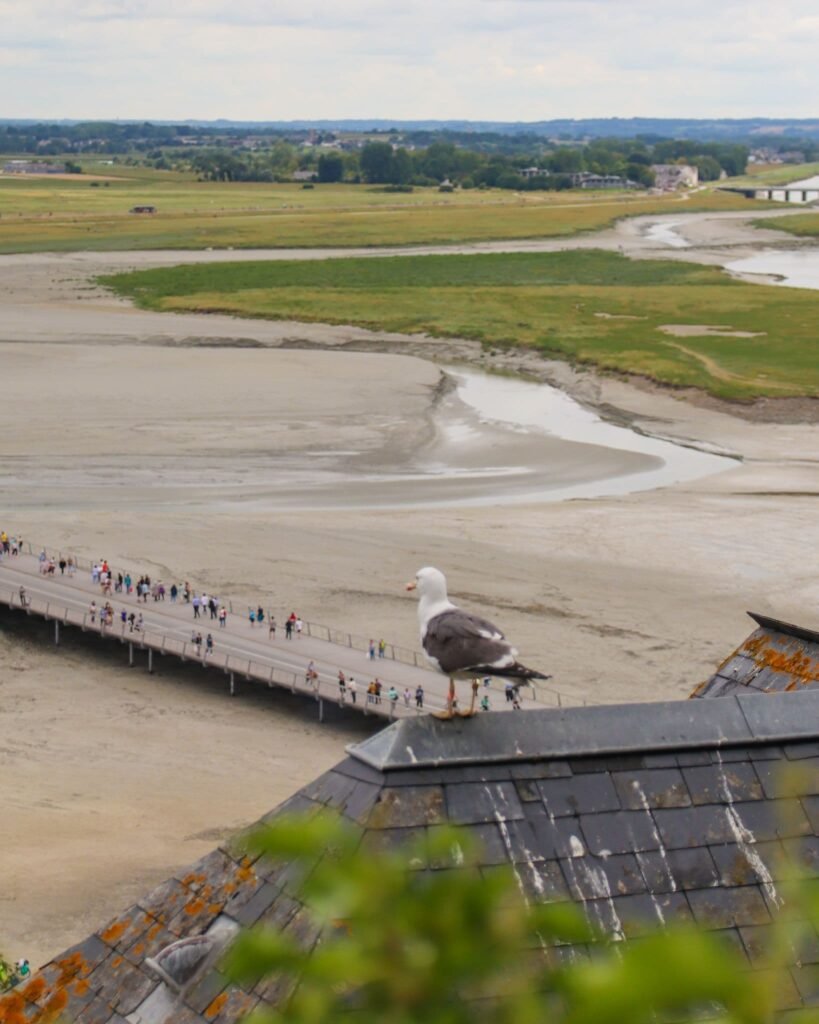 La vista da sopra l'Isola, Normandia, Francia