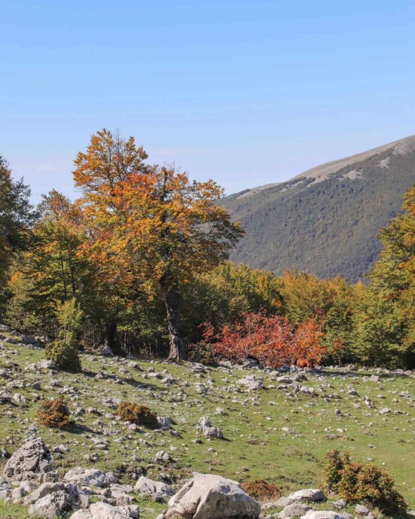 Parco del Pollino in Basilicata