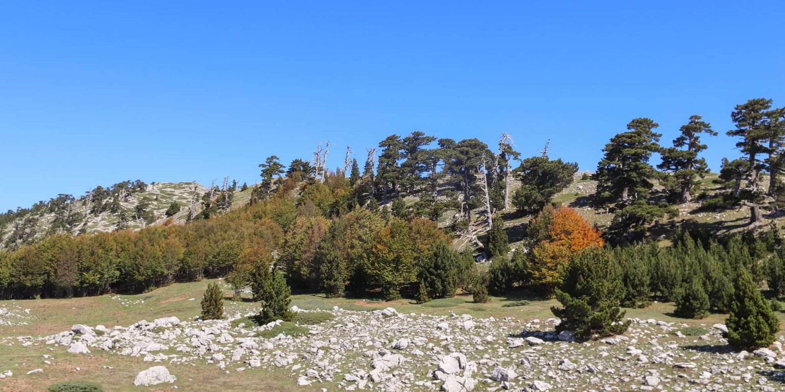 Parco Nazionale di Serra Crispo