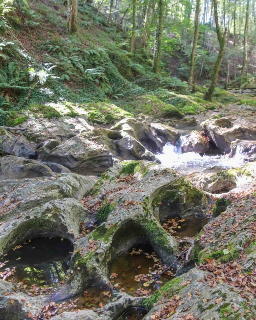 le marmitte fluviali nel Bosco Magnano