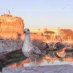 vista di Castel Sant'Angelo, Roma