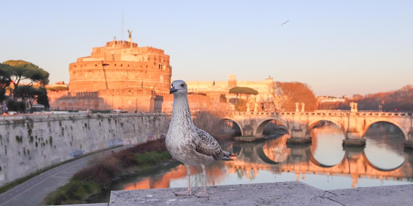 vista di Castel Sant'Angelo, Roma