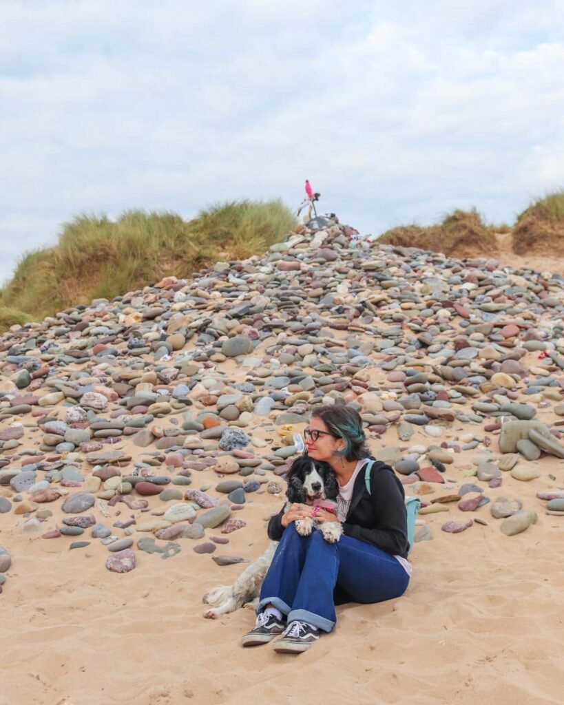 tomba Dobby, Harry Potter come arrivare