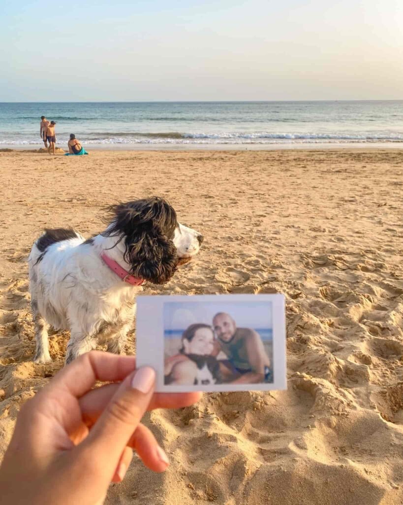estate in Italia 2026, spiagge pet friendly